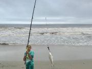 TW’s Bait & Tackle, Daily Fishing Report