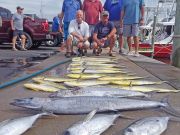 Tuna Duck Sportfishing, Peaceful Gulf Stream Day