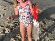 OBX Bait & Tackle Corolla Outer Banks, Corolla Fish Report