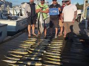 Pirate's Cove Marina, Mahi Monday!