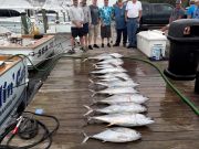 Pirate's Cove Marina, Saturday's Tuna Report