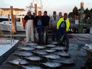 TW’s Bait & Tackle, Daily Fishing Report