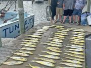 Tuna Duck Sportfishing, Many Mahi