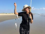 OBX Bait & Tackle Corolla Outer Banks, Corolla Fish Report