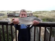 OBX Bait & Tackle Corolla Outer Banks, Corolla Fish Report