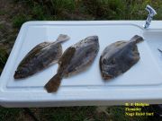 TW’s Bait & Tackle, Daily Fishing Report