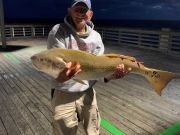 Dr. Tom Hankins with his first big red drum - 41"