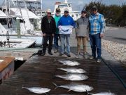 Pirate's Cove Marina, Some Tuna for You?