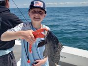 OBX Bait & Tackle Corolla Outer Banks, Corolla Fish Report