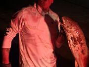 OBX Bait & Tackle Corolla Outer Banks, Corolla Fish Report
