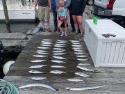 Pirate's Cove Marina, Slow Day, Blow Day