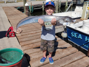 Sea Hunter 2 Sportfishing Charters, Weekly fishing report