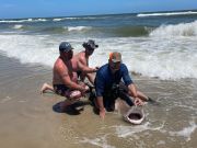 OBX Bait & Tackle Corolla Outer Banks, Corolla Fish Report