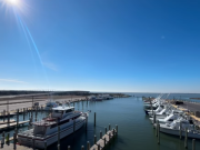 Oregon Inlet Fishing Center, Soaking in the Winter Sun
