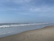 Tradewinds Tackle Shop, First "Official" Report of 2026!