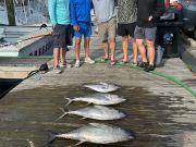Pirate's Cove Marina, Tuesday Bites!