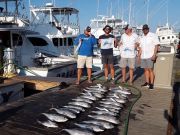 Pirate's Cove Marina, Fishin’ Mission