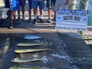 Bite Me Sportfishing Charters, Dolphin and Tuna