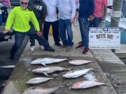 Bite Me Sportfishing Charters, Jiggin Action!