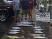 Bite Me Sportfishing Charters, Fall Meat out of Hatteras!