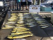 Bite Me Sportfishing Charters, Dolphin and Blackfin on a pretty day