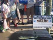 Bite Me Sportfishing Charters, Hooked Up Blue Marlin