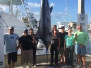 Bite Me Sportfishing Charters, Great day back in Hatteras