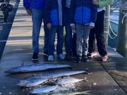 Bite Me Sportfishing Charters, Fall Meat Fishing