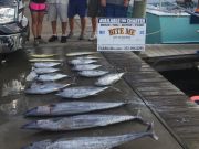 Bite Me Sportfishing Charters, Sailfish and fall meat action!