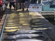 Bite Me Sportfishing Charters, Meat Slam!