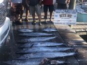 Bite Me Sportfishing Charters, Great Fall Fishing Wahoos and Tunas!