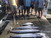 Bite Me Sportfishing Charters, Wahoo Tuna