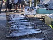 Bite Me Sportfishing Charters, Lotsa Wahoo