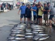 OBX Bait & Tackle Corolla Outer Banks, Corolla Fish Report