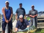 OBX Bait & Tackle Corolla Outer Banks, Corolla Fish Report