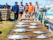 OBX Bait & Tackle Corolla Outer Banks, Corolla Fish Report