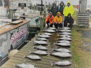 OBX Bait & Tackle Corolla Outer Banks, Corolla Fish Report