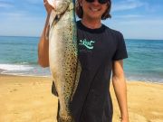 TW’s Bait & Tackle, Daily Fishing Report