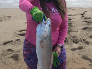 TW’s Bait & Tackle, TW's Daily Fishing Report