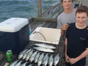 TW’s Bait & Tackle, Daily Fishing Report