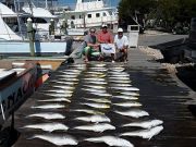 Pirate's Cove Marina, Tuna and Tiles!