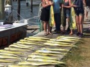 OBX Bait & Tackle Corolla Outer Banks, Corolla Fish Report