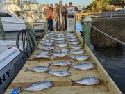 Pirate's Cove Marina, Tuna Tuesday