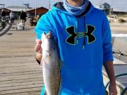 TW’s Bait & Tackle, Daily Fishing Report