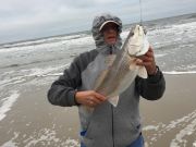 OBX Bait & Tackle Corolla Outer Banks, Corolla Fishing Report