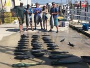 OBX Bait & Tackle Corolla Outer Banks, Corolla Fish Report