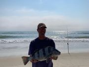 OBX Bait & Tackle Corolla Outer Banks, Corolla Fish Report