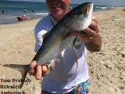 TW’s Bait & Tackle, Daily Fishing Report