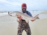 Tradewinds Tackle Shop, Red Drum and Bluefish