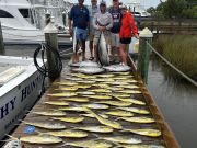 Pirate's Cove Marina, Thursday’s Catch